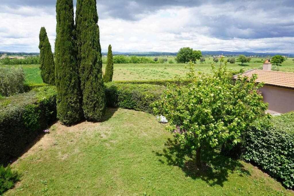 Agriturismo Podere Santa Virginia アルビニア エクステリア 写真