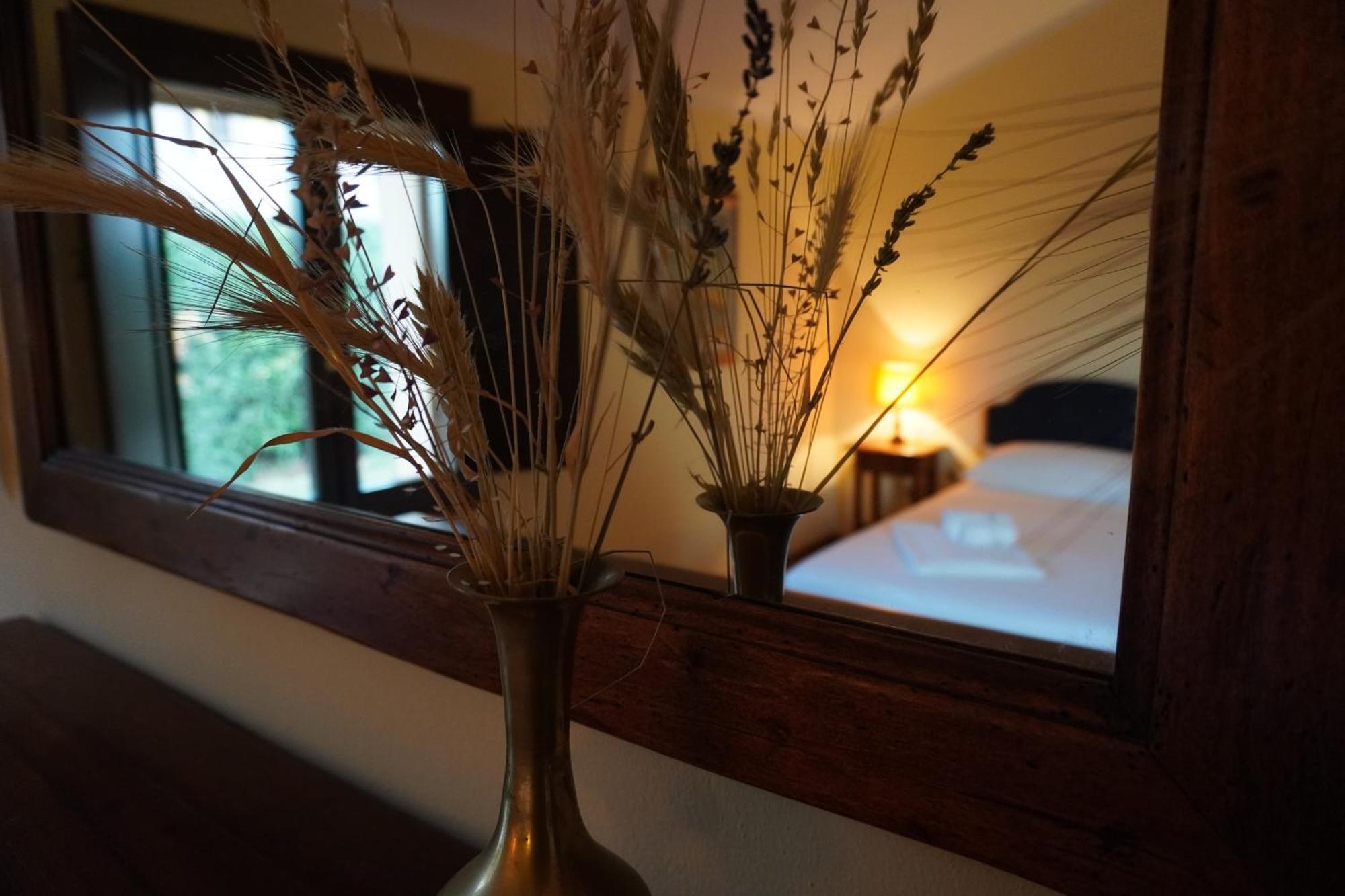Agriturismo Podere Santa Virginia アルビニア エクステリア 写真