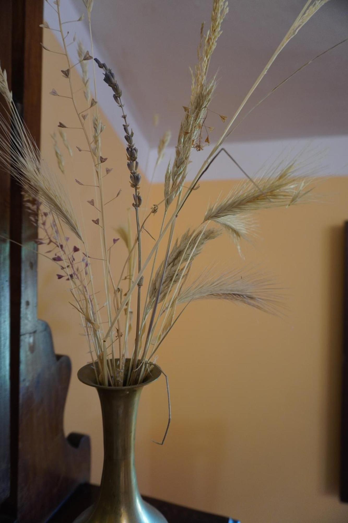 Agriturismo Podere Santa Virginia アルビニア エクステリア 写真