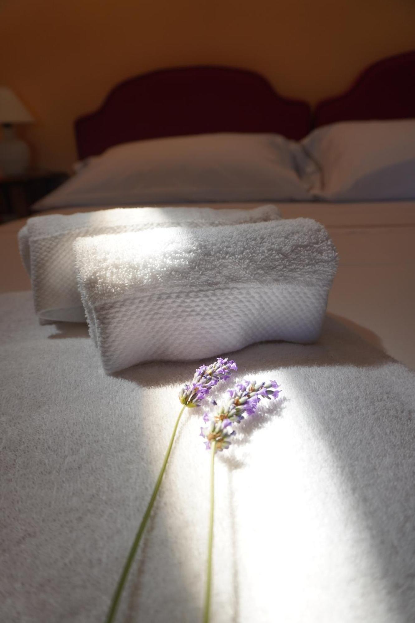 Agriturismo Podere Santa Virginia アルビニア エクステリア 写真