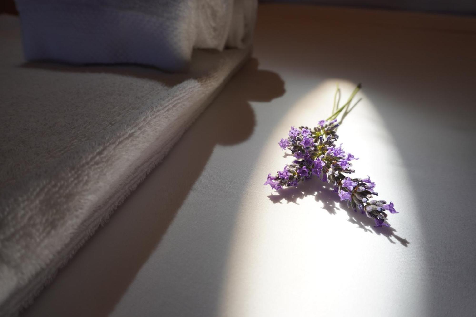 Agriturismo Podere Santa Virginia アルビニア エクステリア 写真